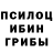 Галлюциногенные грибы GOLDEN TEACHER Kadori