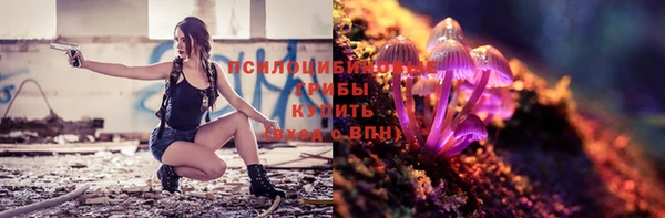 трава Армянск