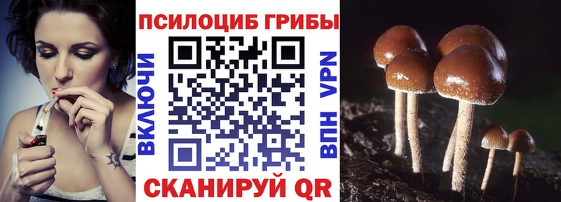 Псилоцибиновые грибы мицелий  Белоярский 